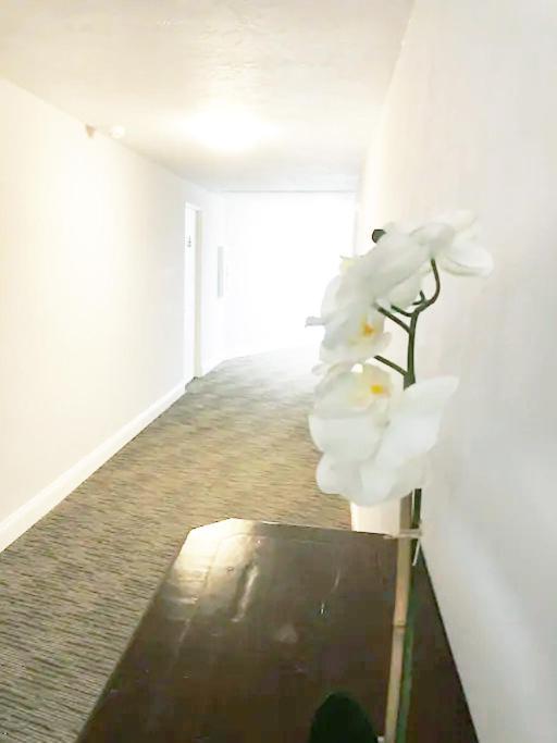 Burns Court Apartment Σεϊρασότα Εξωτερικό φωτογραφία